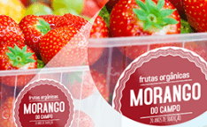 Por que imprimir Rótulo Personalizado com a Gráfica Paulista Cartões?