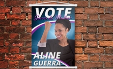 Banner Político