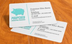 Cartão de Visita em PVC